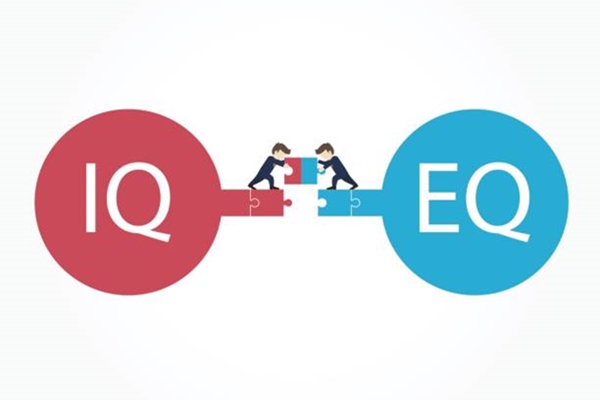 iq và eq cái nào quan trọng hơn, eq quan trọng hơn iq vì sao, eq quan trọng hơn iq, eq quan trọng như thế nào, eq và iq cái nào quan trọng hơn, tầm quan trọng của iq và eq, tại sao eq quan trọng hơn iq, iq hay eq quan trọng hơn, vì sao eq quan trọng hơn iq